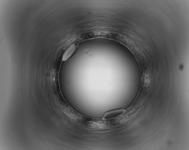 X0000099290567200805090933