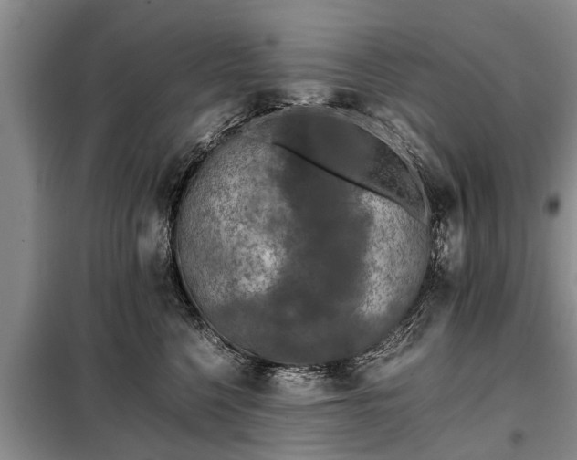 X0000099290568200805090933
