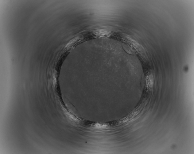 X0000099290570200805090933
