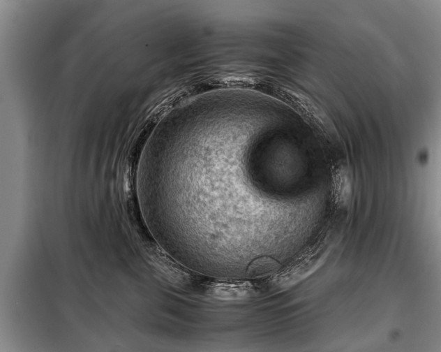 X0000099290571200805090933