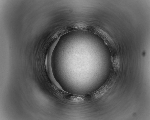 X0000099290572200805090933