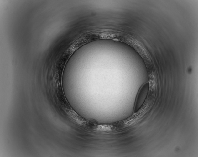 X0000099290573200805090933