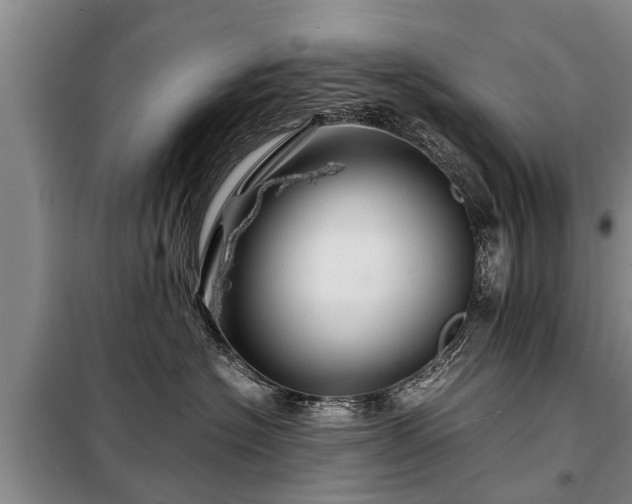 X0000099290574200805090933