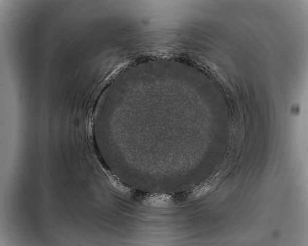 X0000099290576200805090933