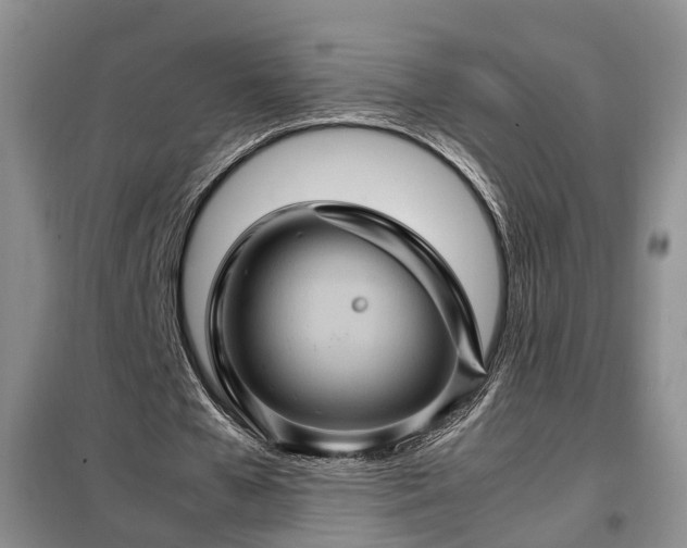 X0000099290577200805090933