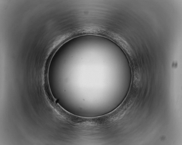 X0000099290578200805090933