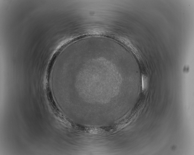 X0000099290579200805090933