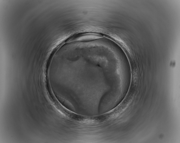 X0000099290581200805090933