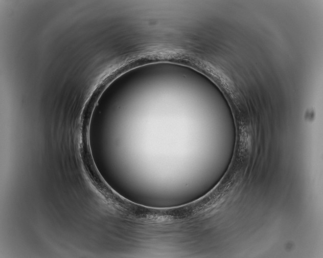 X0000099290582200805090933