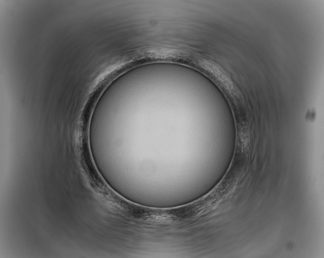 X0000099290583200805090933