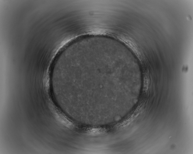 X0000099290584200805090933