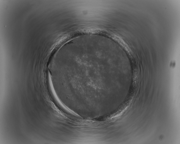 X0000099290585200805090933