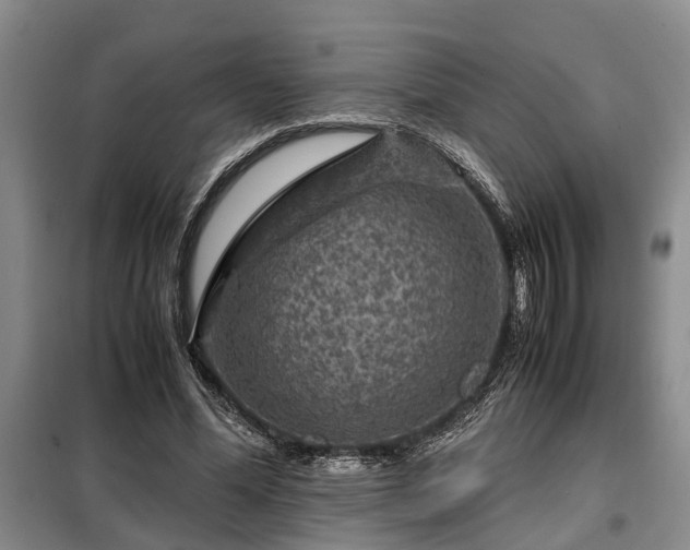 X0000099290588200805090932