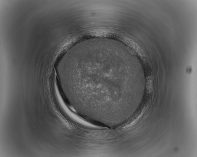 X0000099290589200805090932
