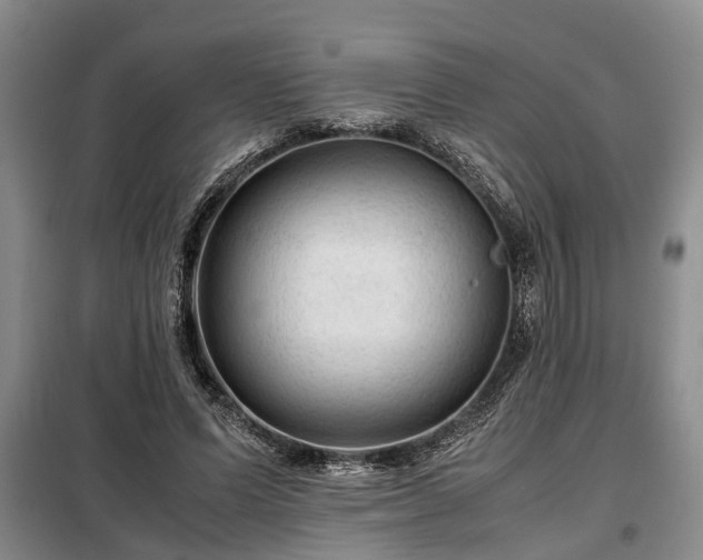 X0000099290591200805090932