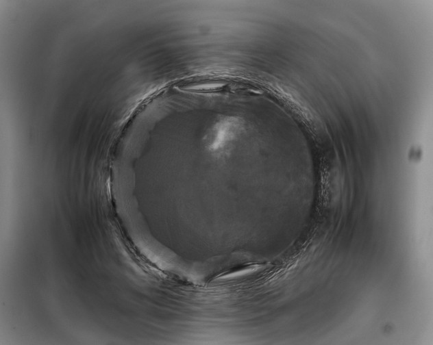 X0000099290592200805090932