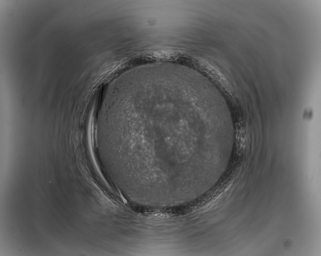 X0000099290593200805090932
