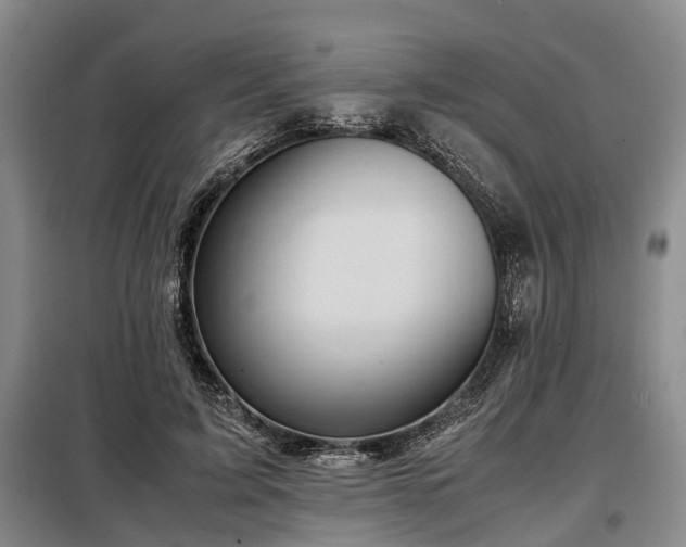 X0000099290595200805090932
