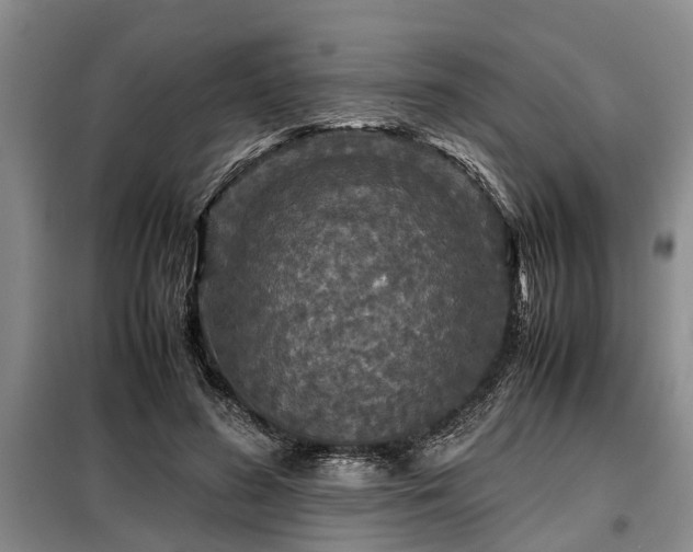 X0000099290596200805090932