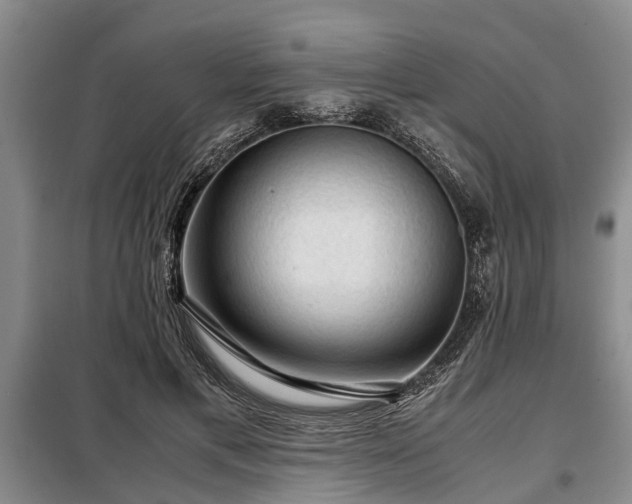 X0000099290597200805090932