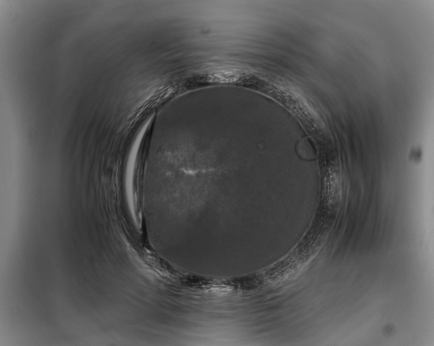 X0000099290598200805090932