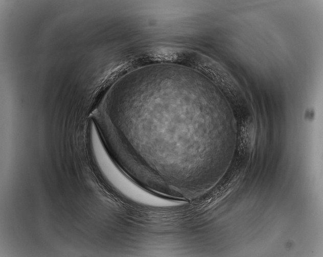 X0000099290600200805090932