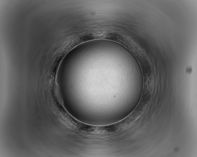 X0000099290601200805090932
