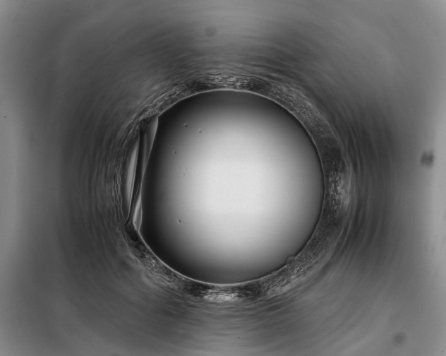 X0000099290602200805090932