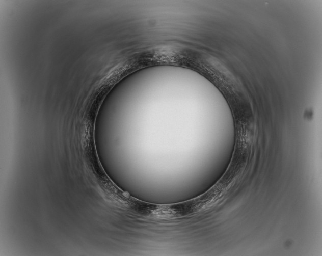 X0000099290603200805090932
