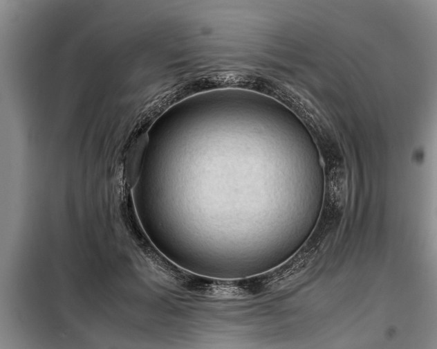 X0000099290605200805090932