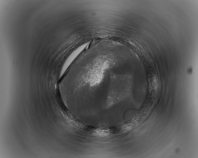 X0000099290606200805090932