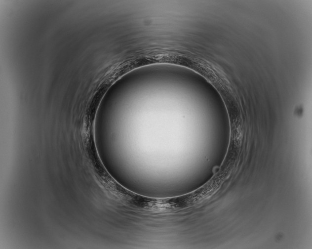 X0000099290607200805090932