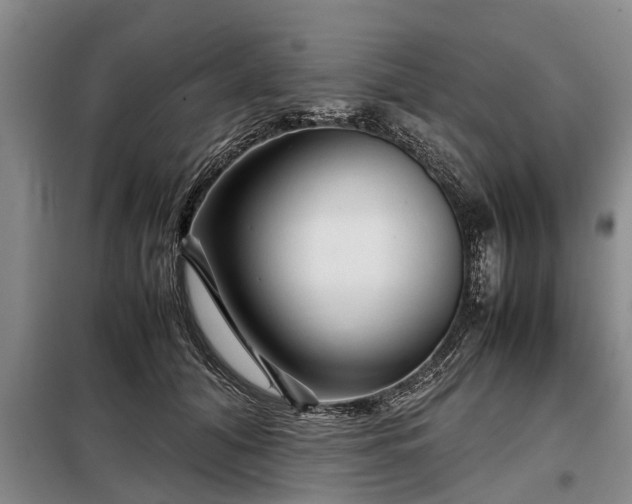 X0000099290608200805090932