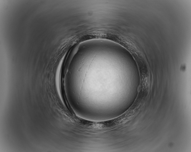 X0000099290609200805090932