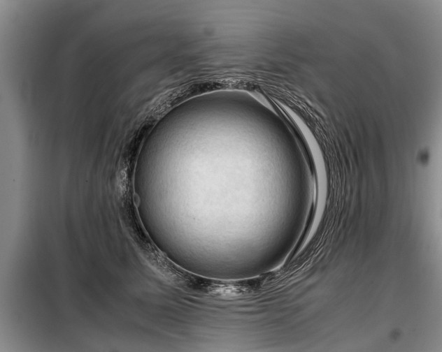 X0000099290611200805090932