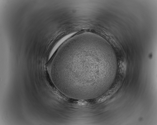 X0000099290612200805090932