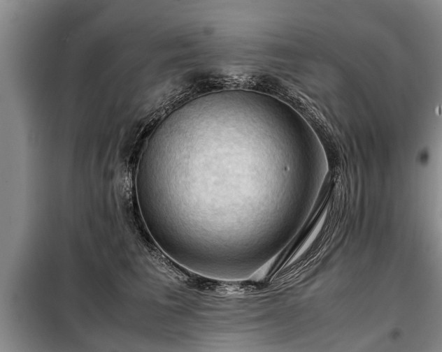 X0000099290613200805090932