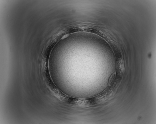 X0000099290615200805090932