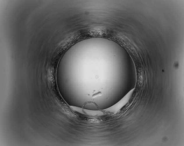 X0000099290616200805090932