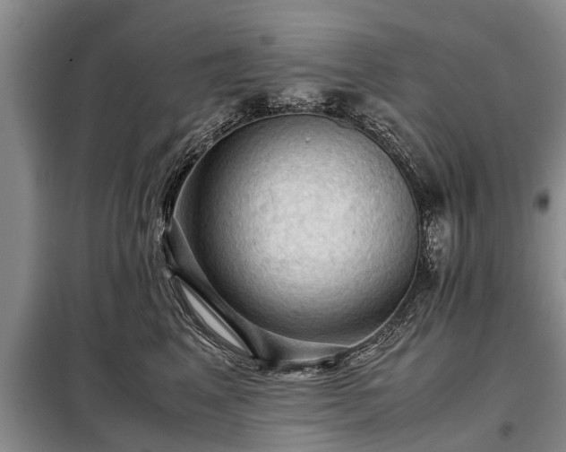 X0000099290617200805090932
