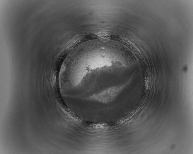 X0000099290618200805090932
