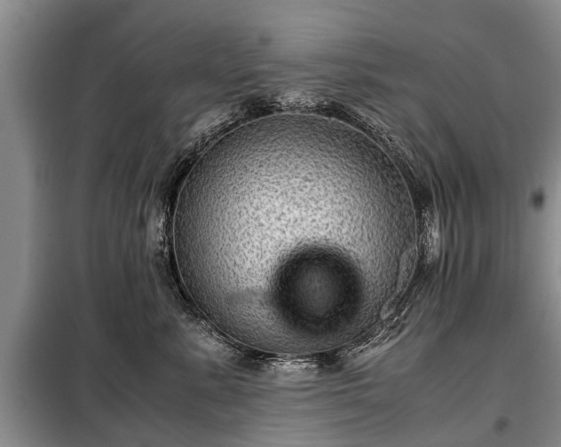 X0000099290619200805090932