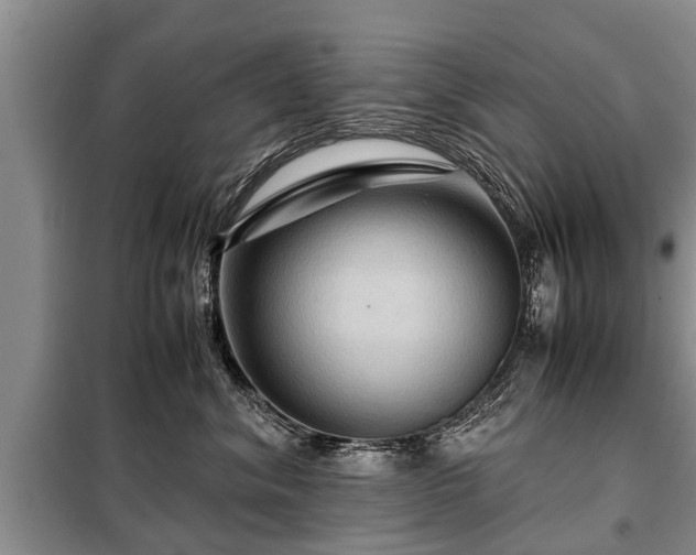 X0000099290620200805090932