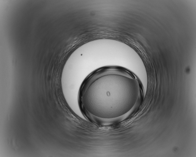 X0000099290621200805090932