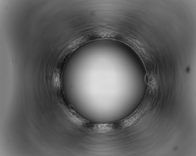 X0000099290622200805090932