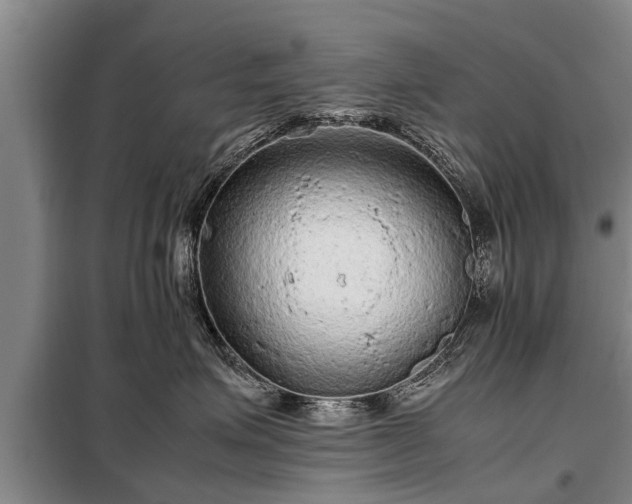 X0000099290623200805090932