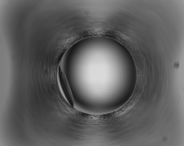 X0000099290624200805090932