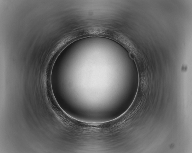 X0000099290626200805090931