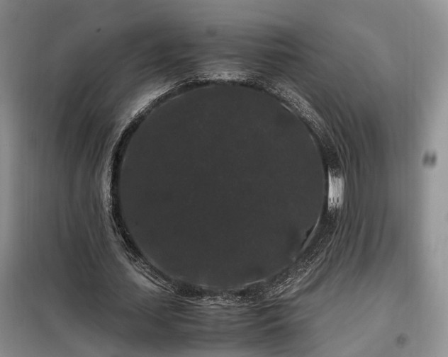 X0000099290627200805090931