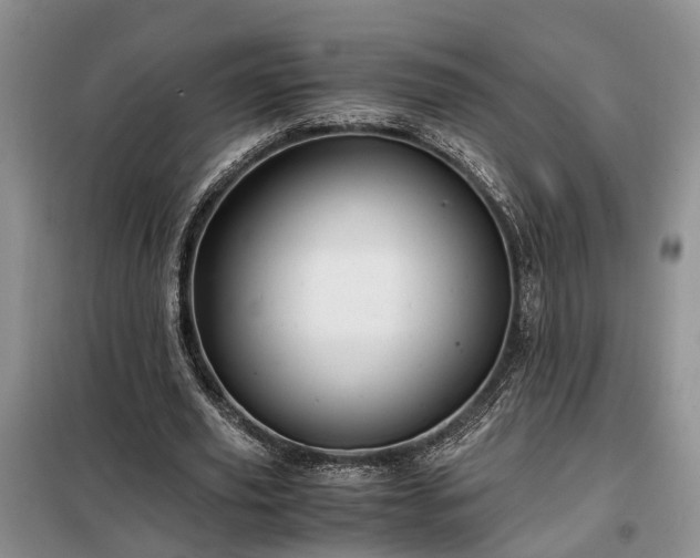 X0000099290629200805090931